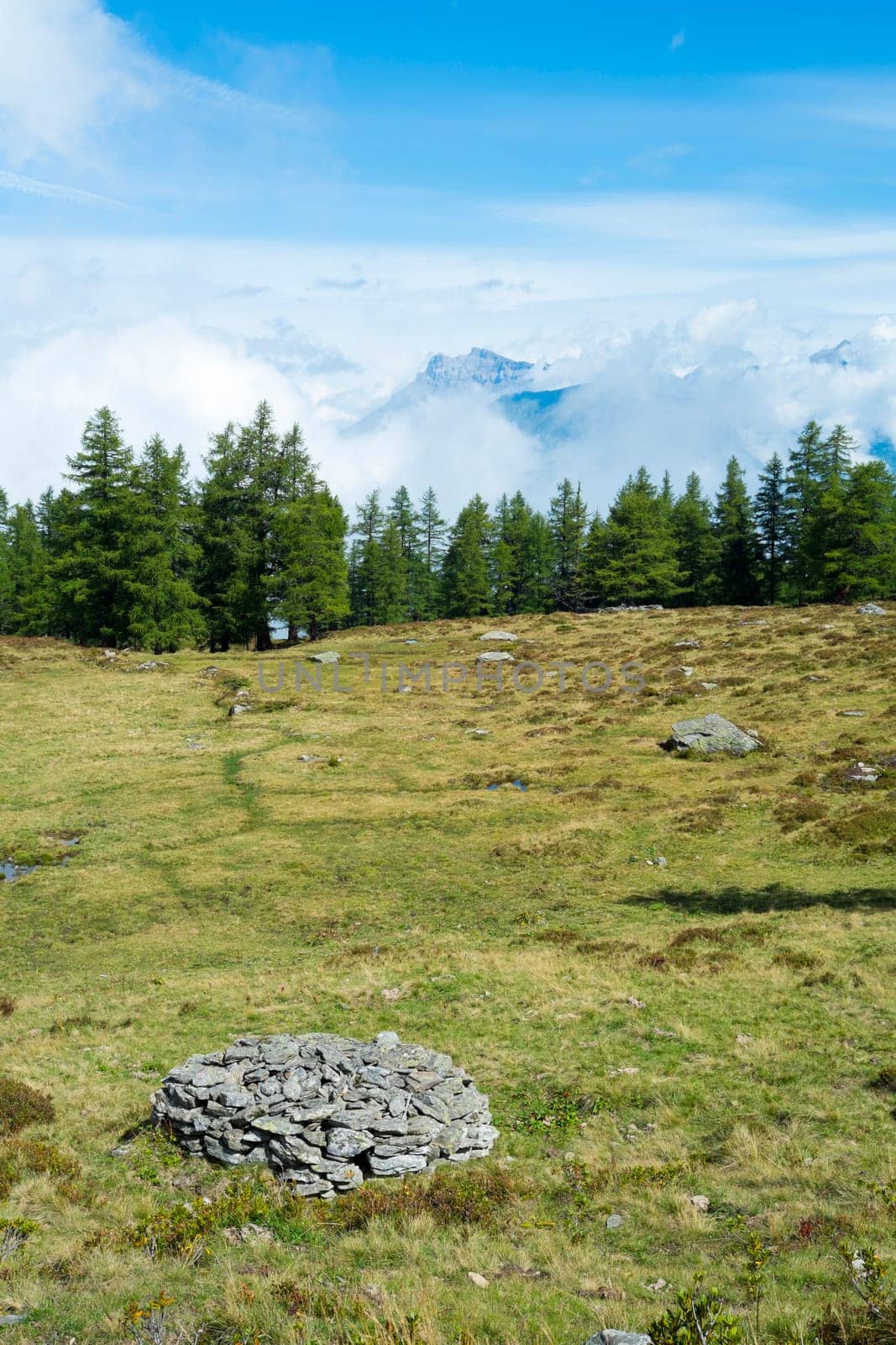Cloudy L'Arpille Mountain seen from La Giete, in Switzerland, with pine trees and rocks in the foreground.