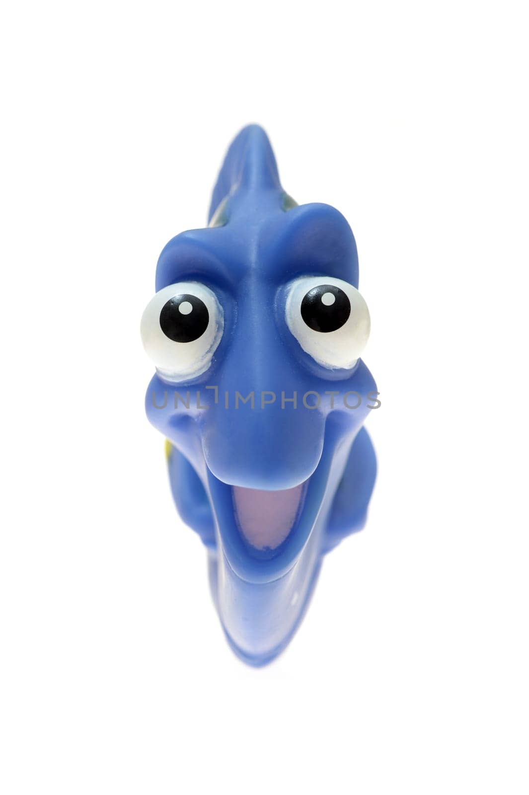 A close up shot of a tropical toy fish