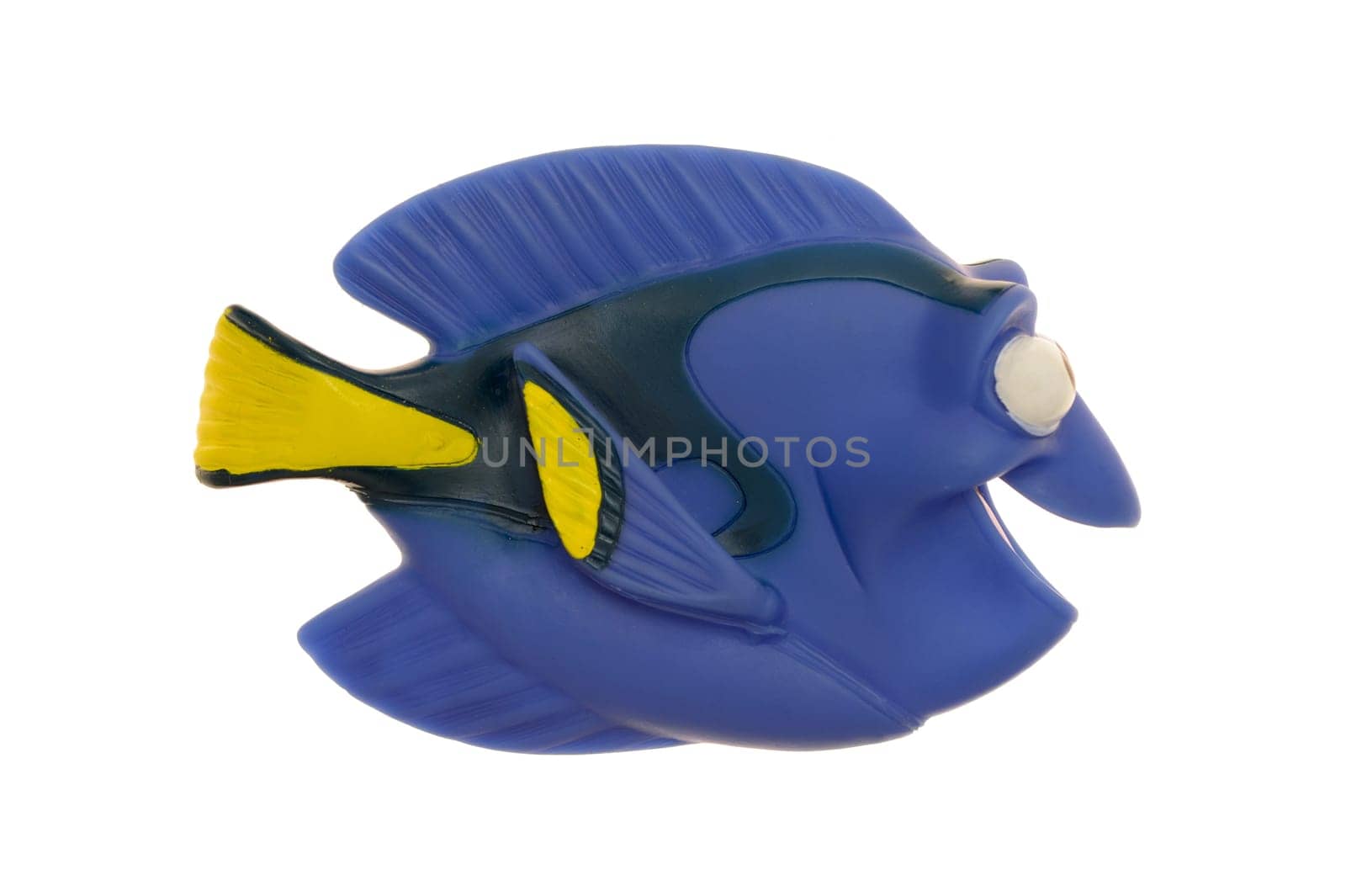 A close up shot of a tropical toy fish