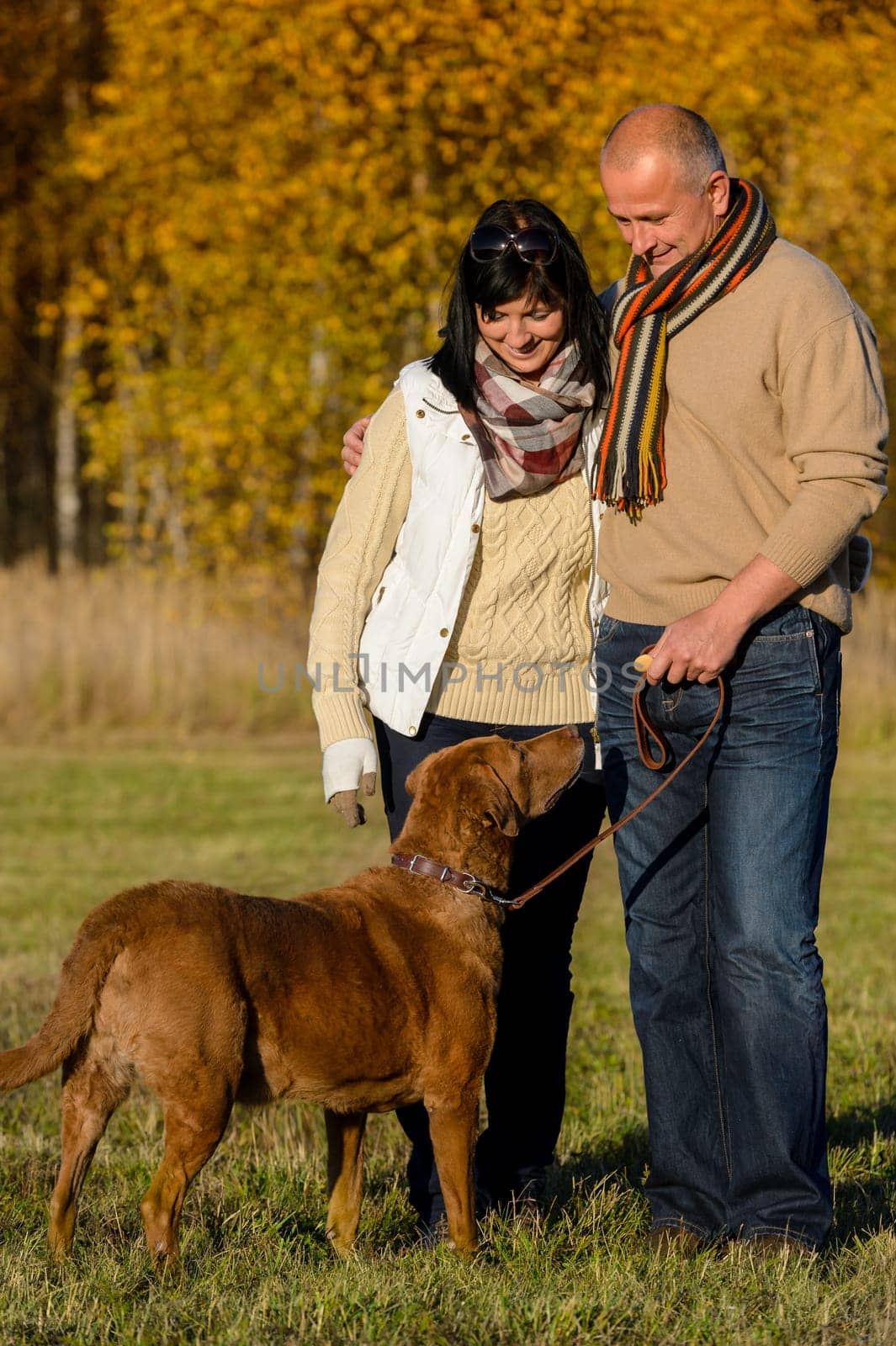 Mature couple with retriever dog embracing in autumn sunny park