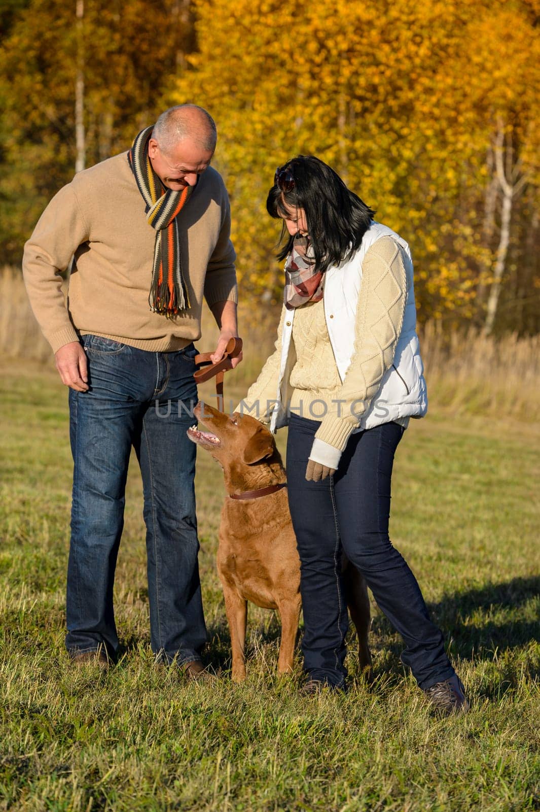 Mature couple training retriever dog in autumn sunny park