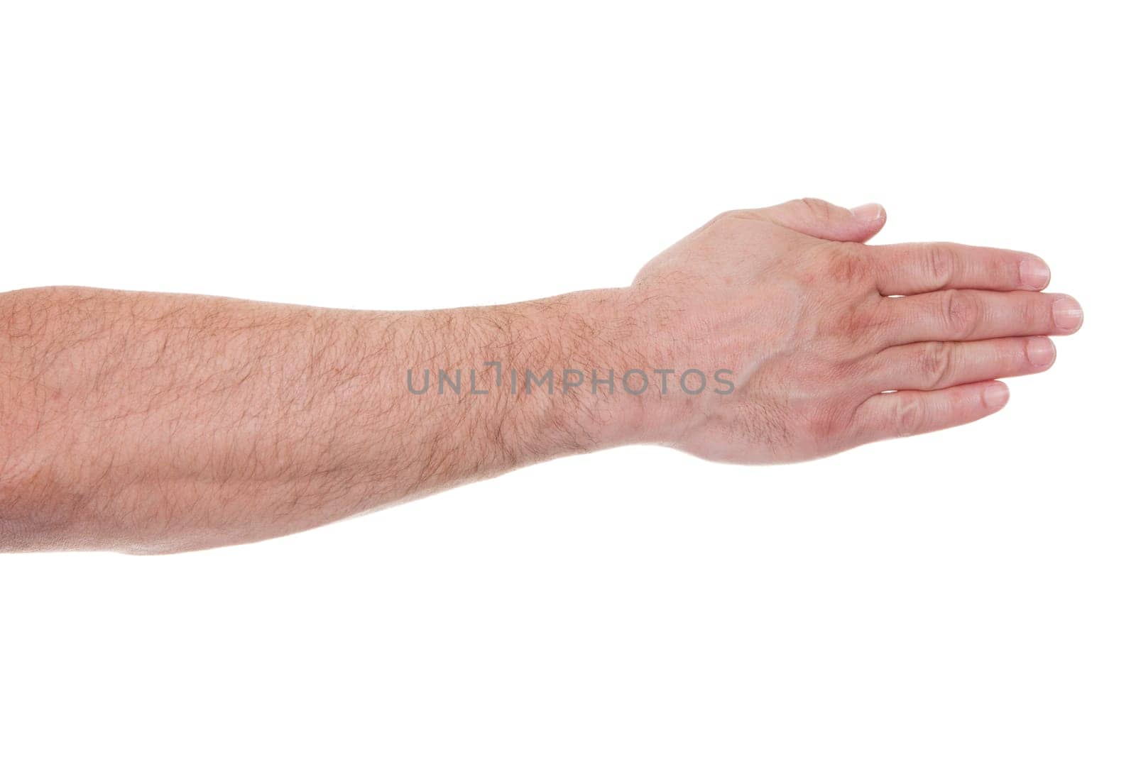 Close-up Man's Palm Hand Over White Background