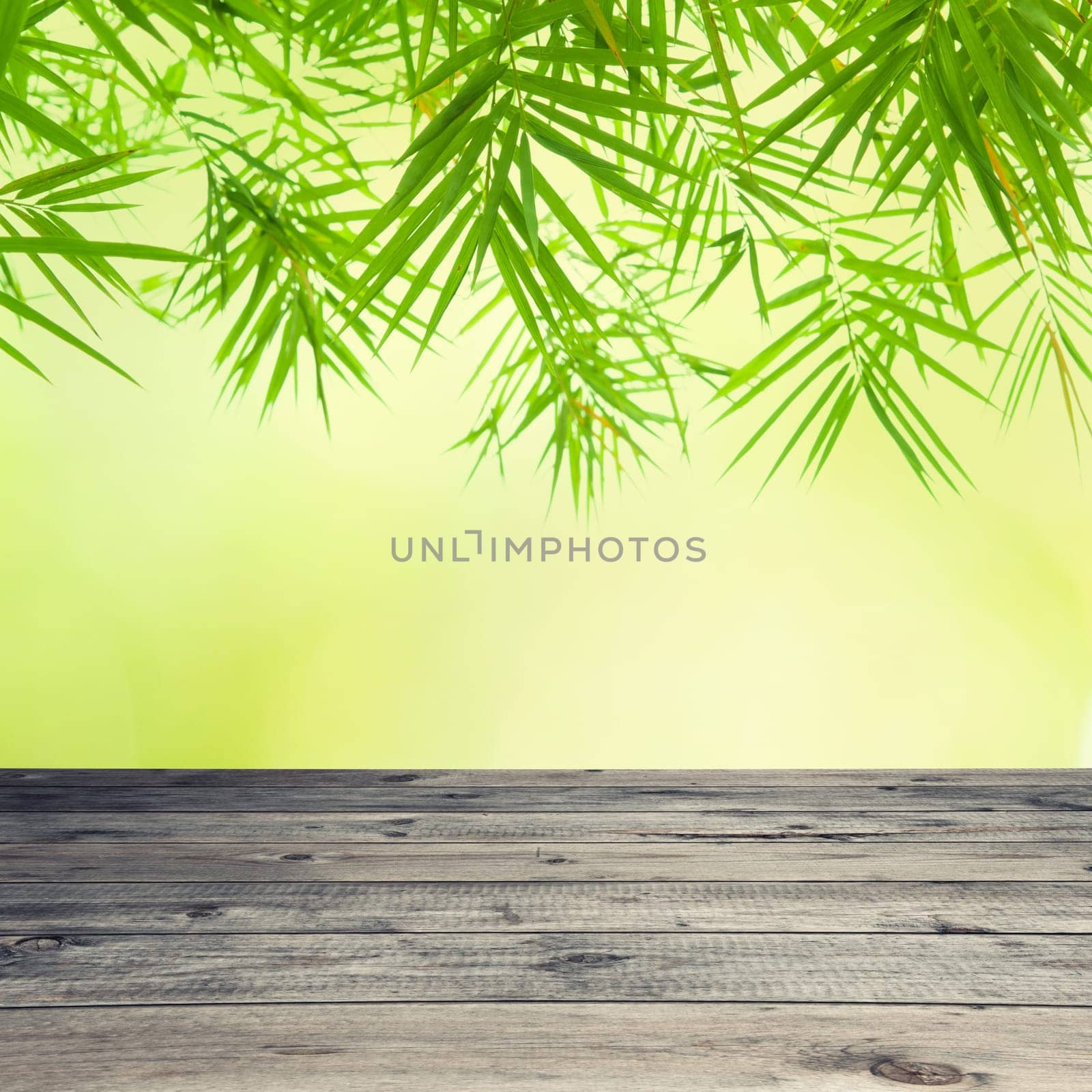 Empty wooden table and defocused green bamboo foliage background.