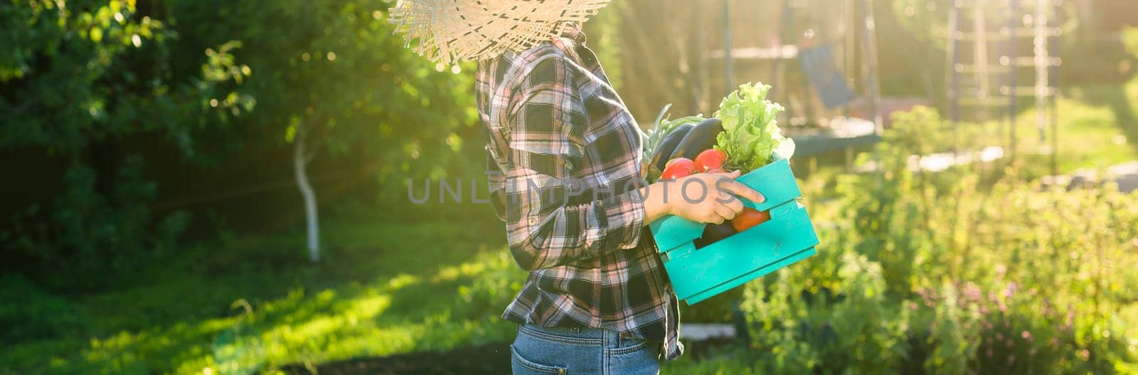 Banner Close up woman gardener picks up her harvest box of vegetables on sunny summer day copy space. Concept of organic farming and vegetable growing by Satura86