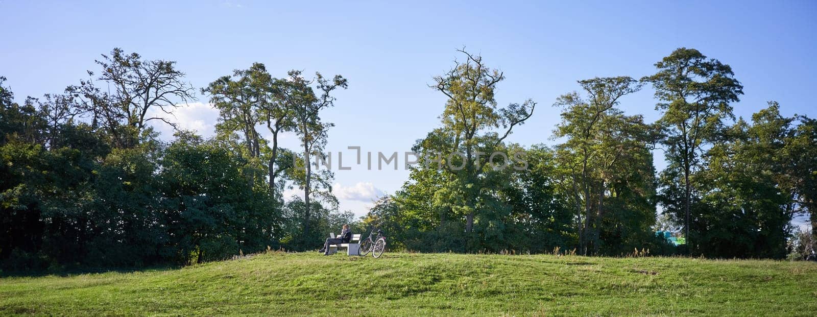 Nature and landscape. Beautiful sunny day in park, woman sitting on bench and using her laptop, working or studying on fresh air, bicycle standing near.