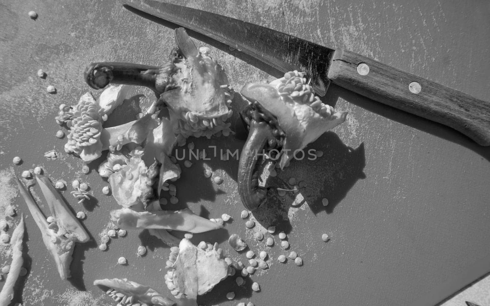 Close-up of a knife, seeds, peel on a green cutting board, top view after peeling sweet pepper, black and white photo.