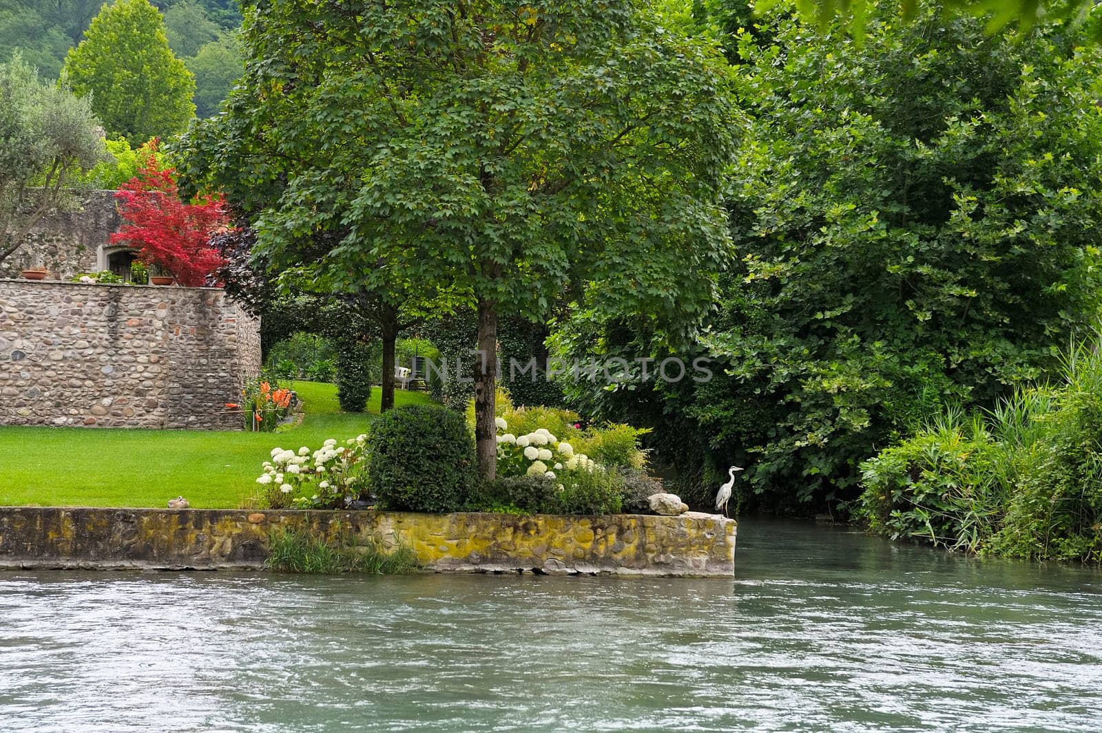 Garden by the river