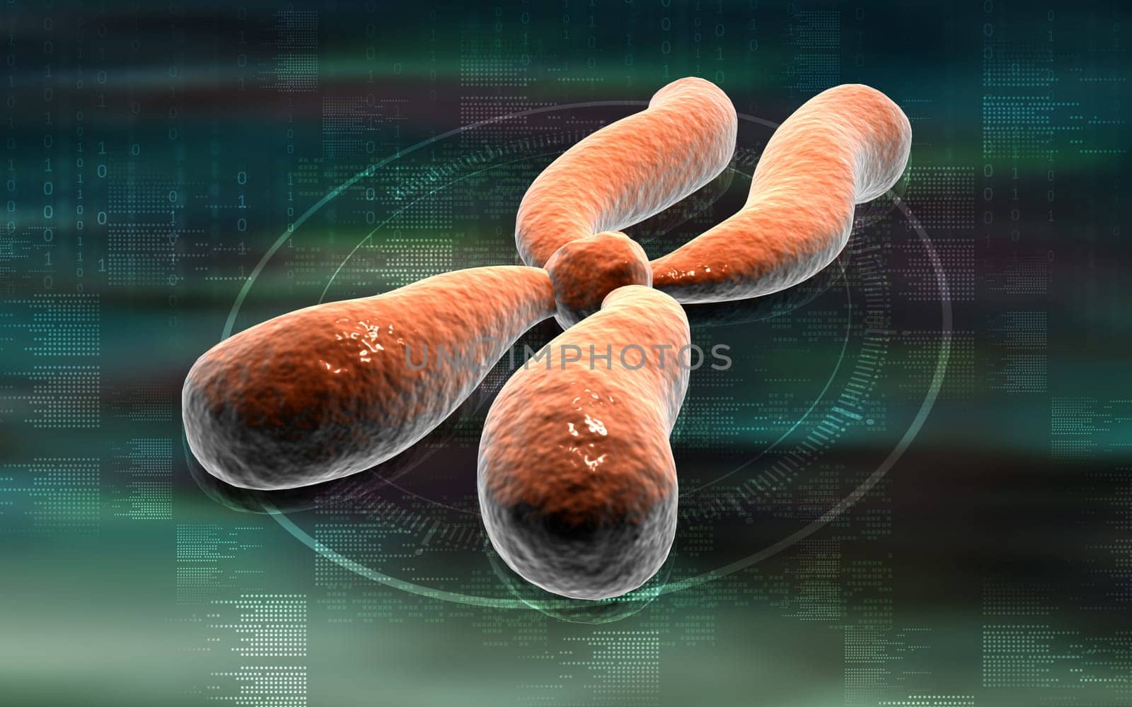 Digital illustration of chromosome in colour background
