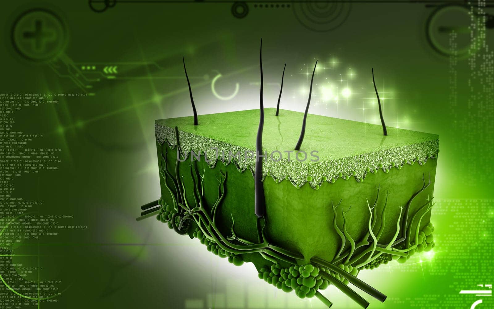 Digital illustration of Skin in colour background