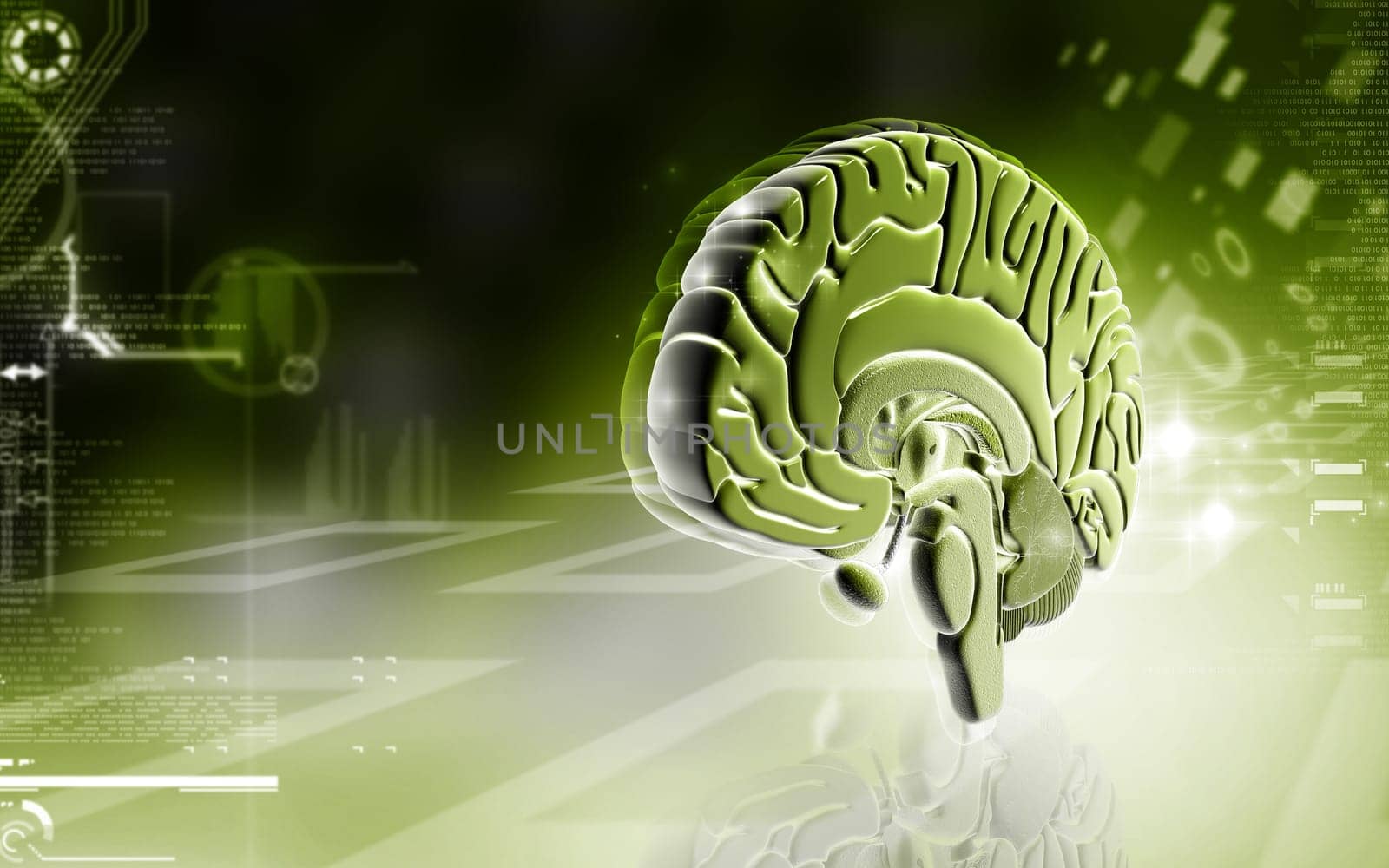 Digital illustration of brain in colour background