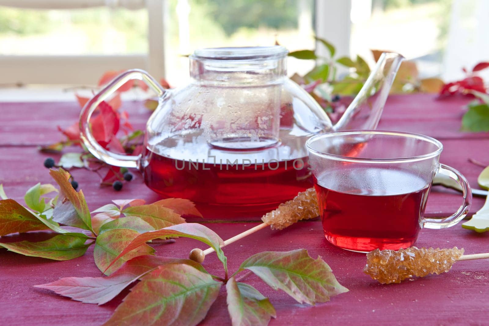 Hot tea in jug and cup with colorful blaetters