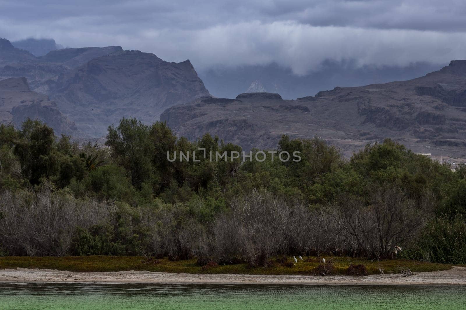 Nature Reserve - La Charca