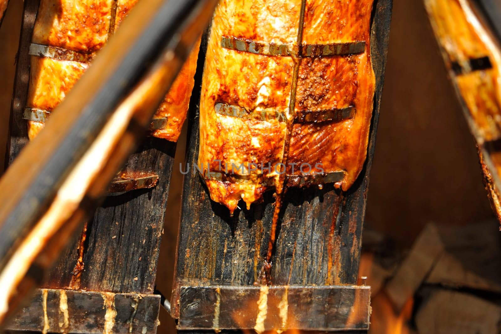 Flamed salmon,Evergreen Country Look in Herrenhausen Gardens Hanover Germany.