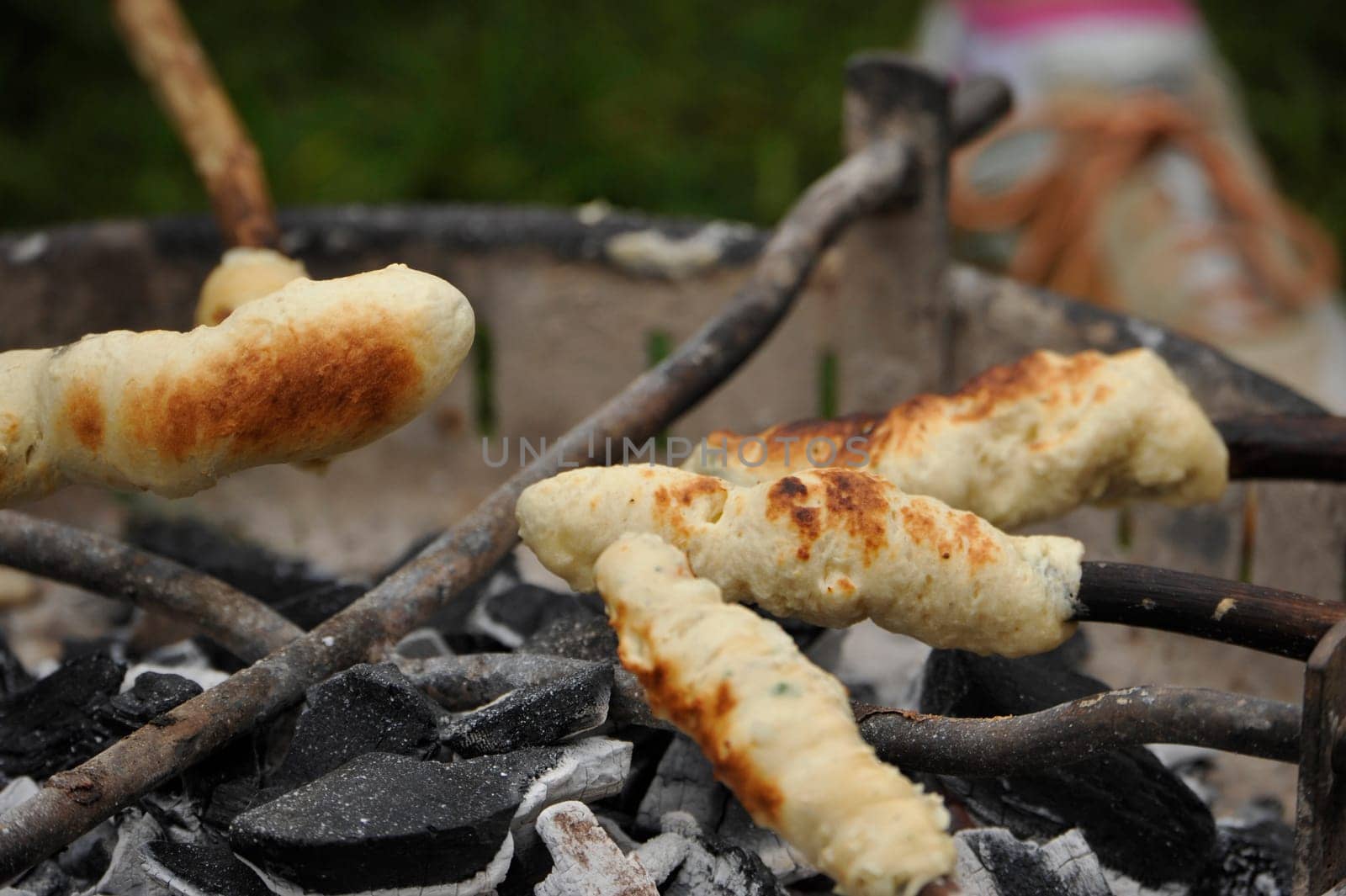 Flamed salmon,Evergreen Country Look in Herrenhausen Gardens Hanover Germany.