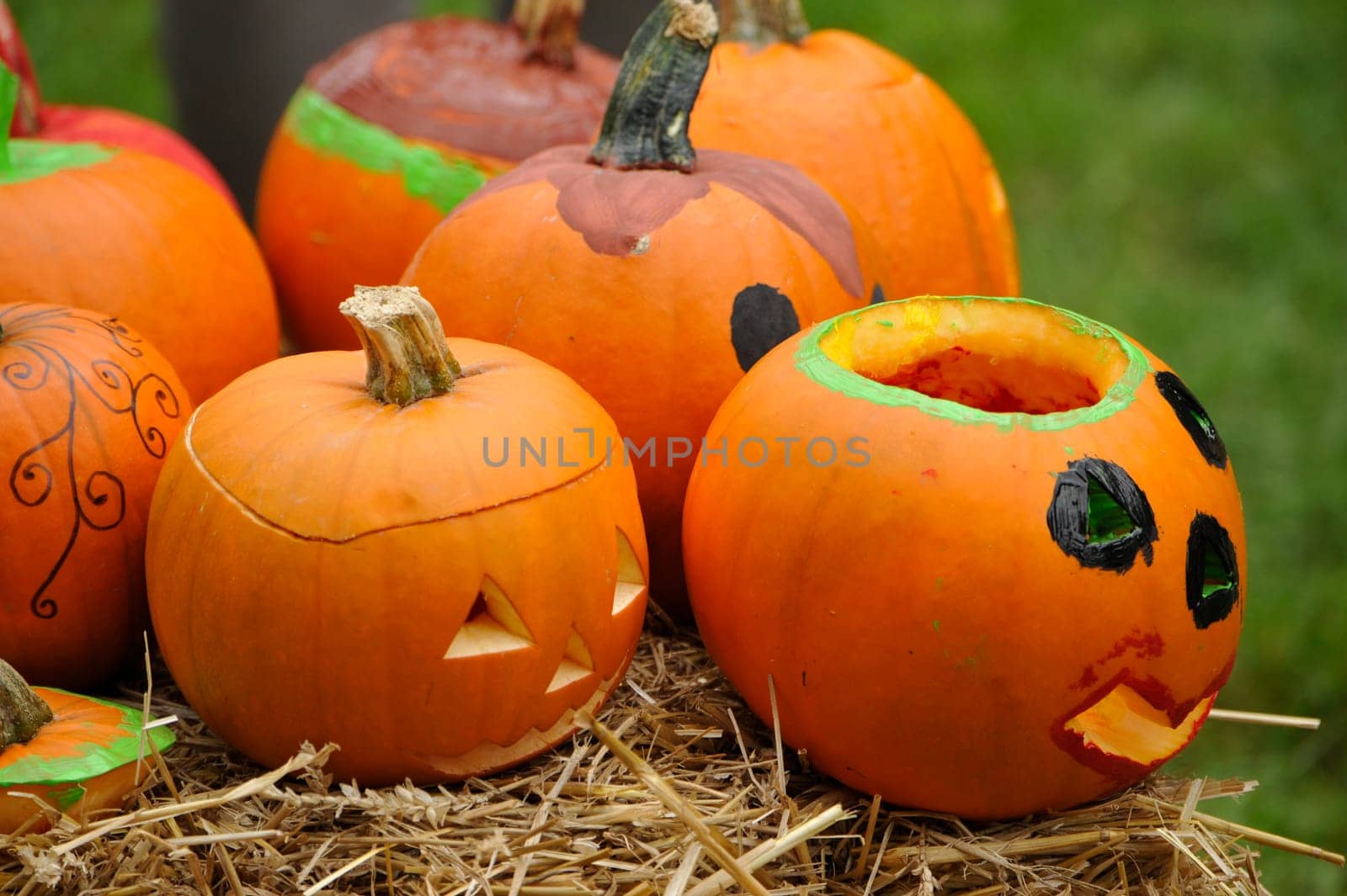 Happy Thanksgiving-Pumpkins for Thanksgiving, Hanover Germany.