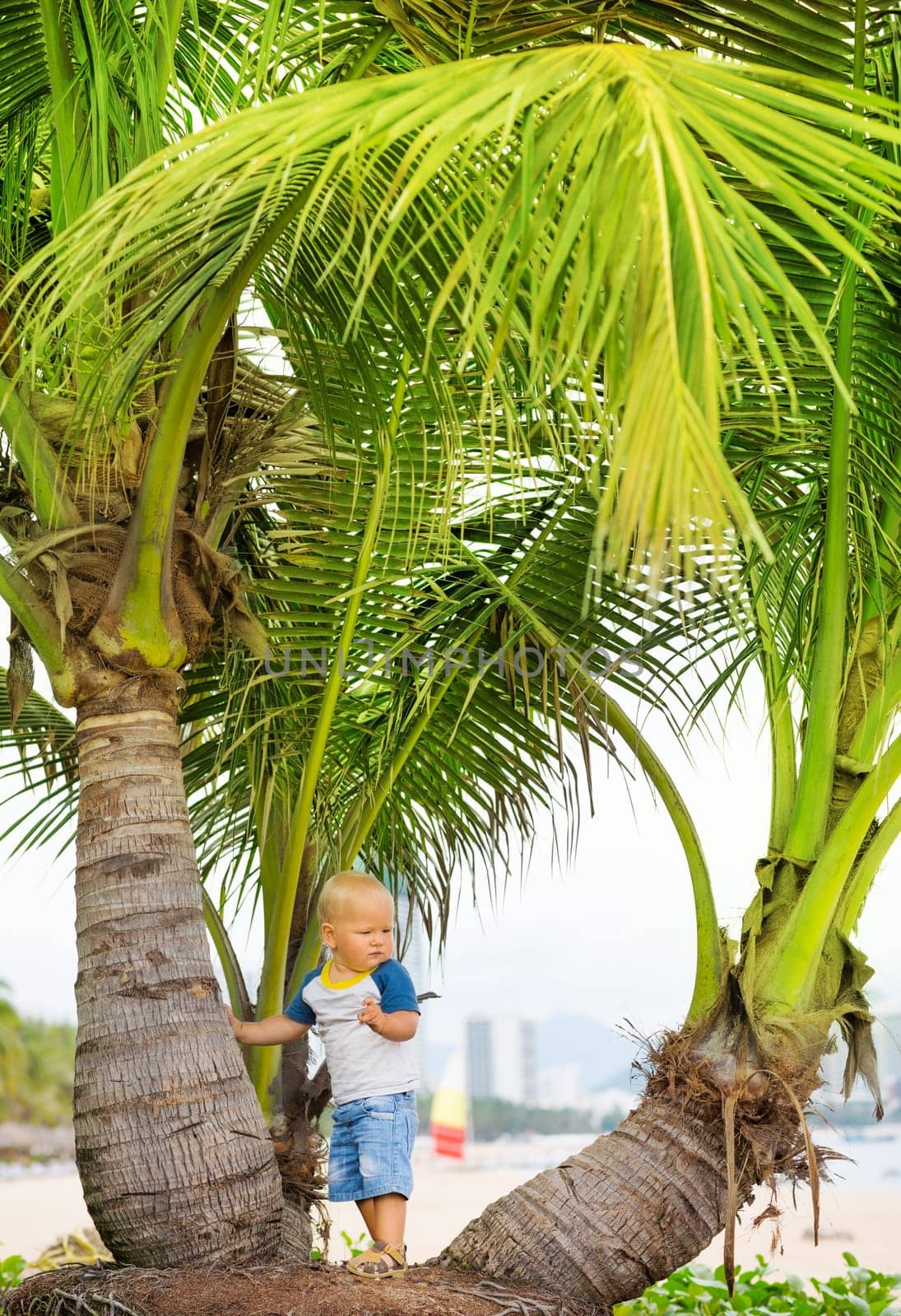 Baby near palmtree on the beach