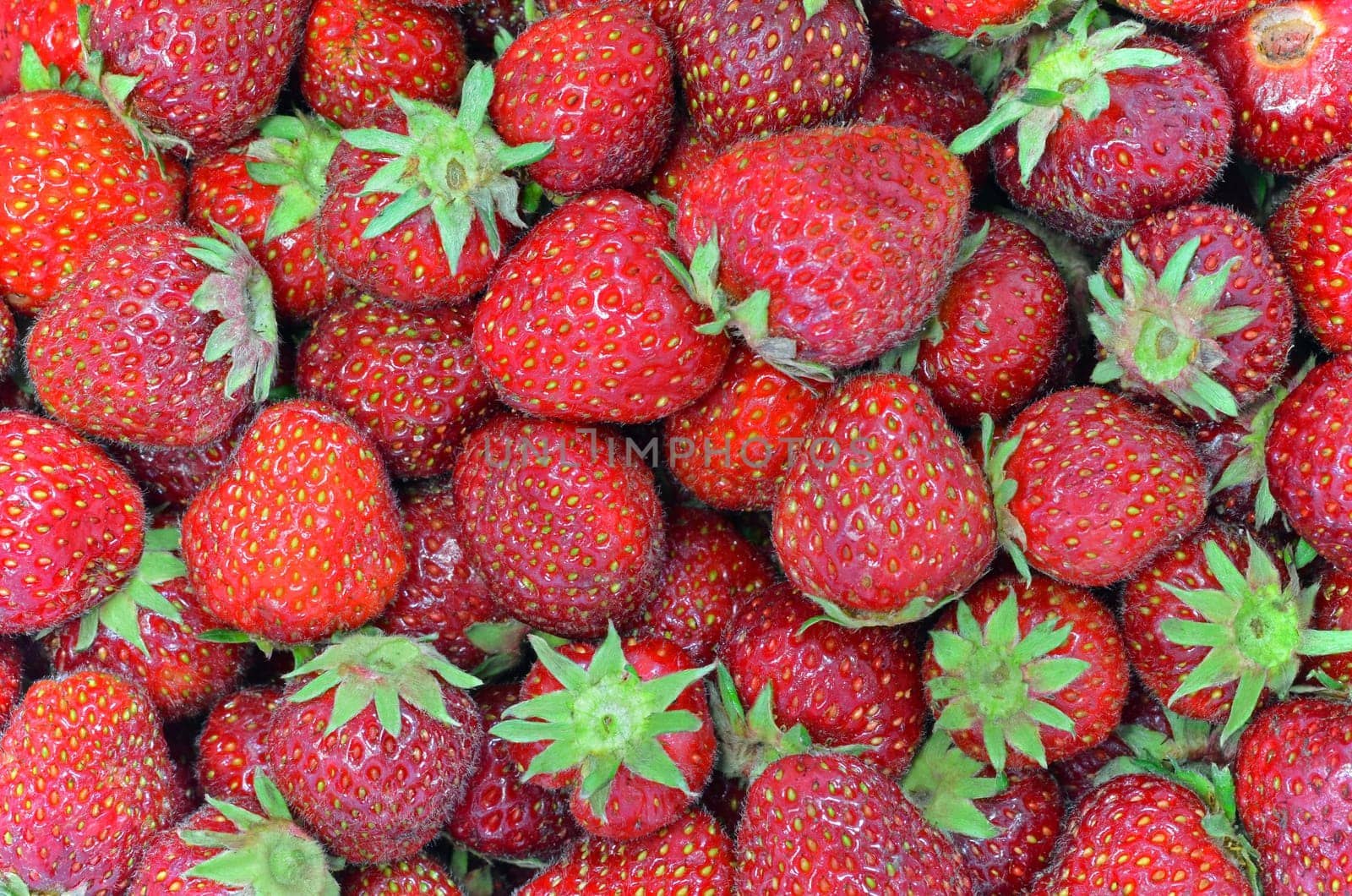 Strawberries