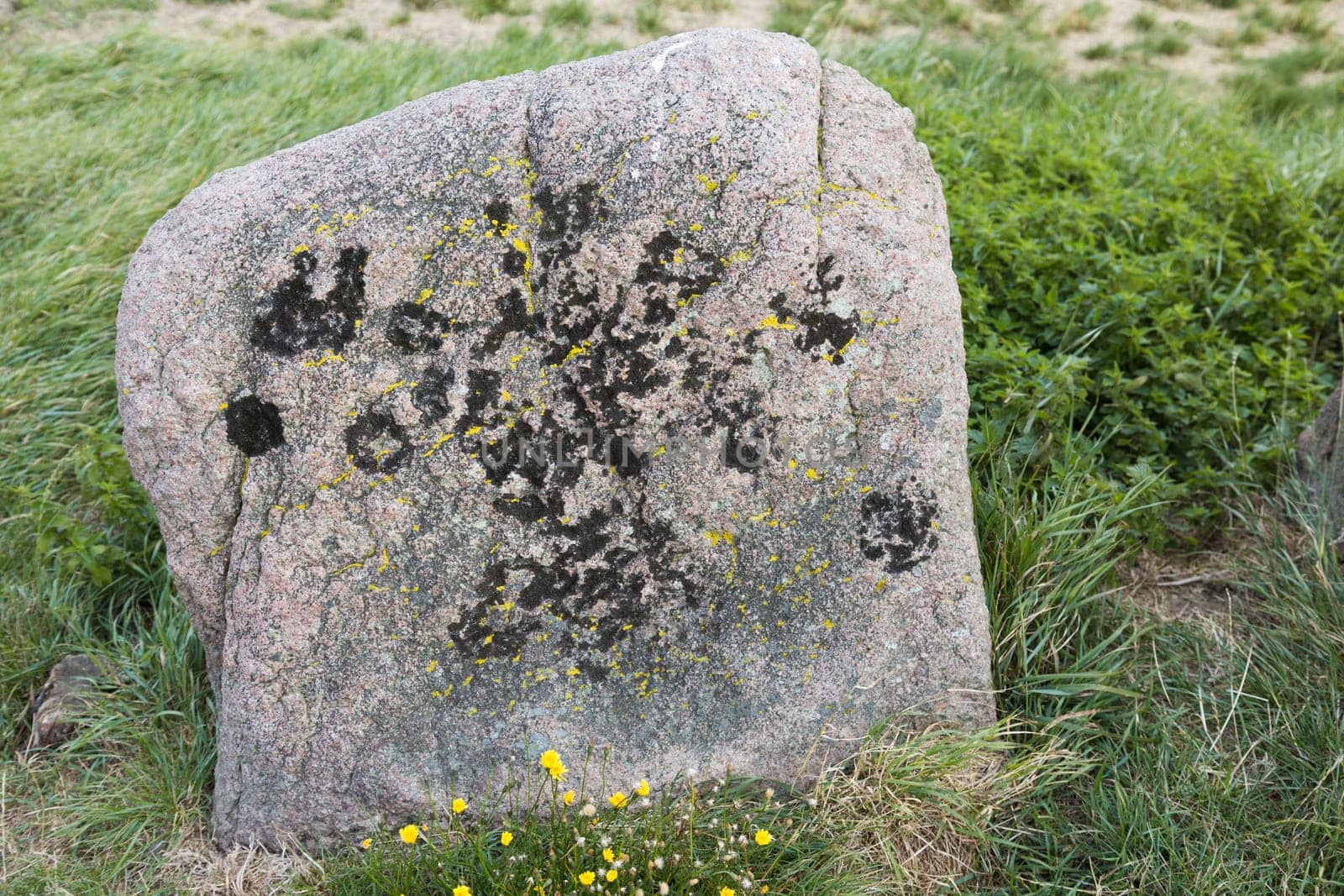 Stone at the tomb of Kong Hunble near the small town of Humble,Langeland