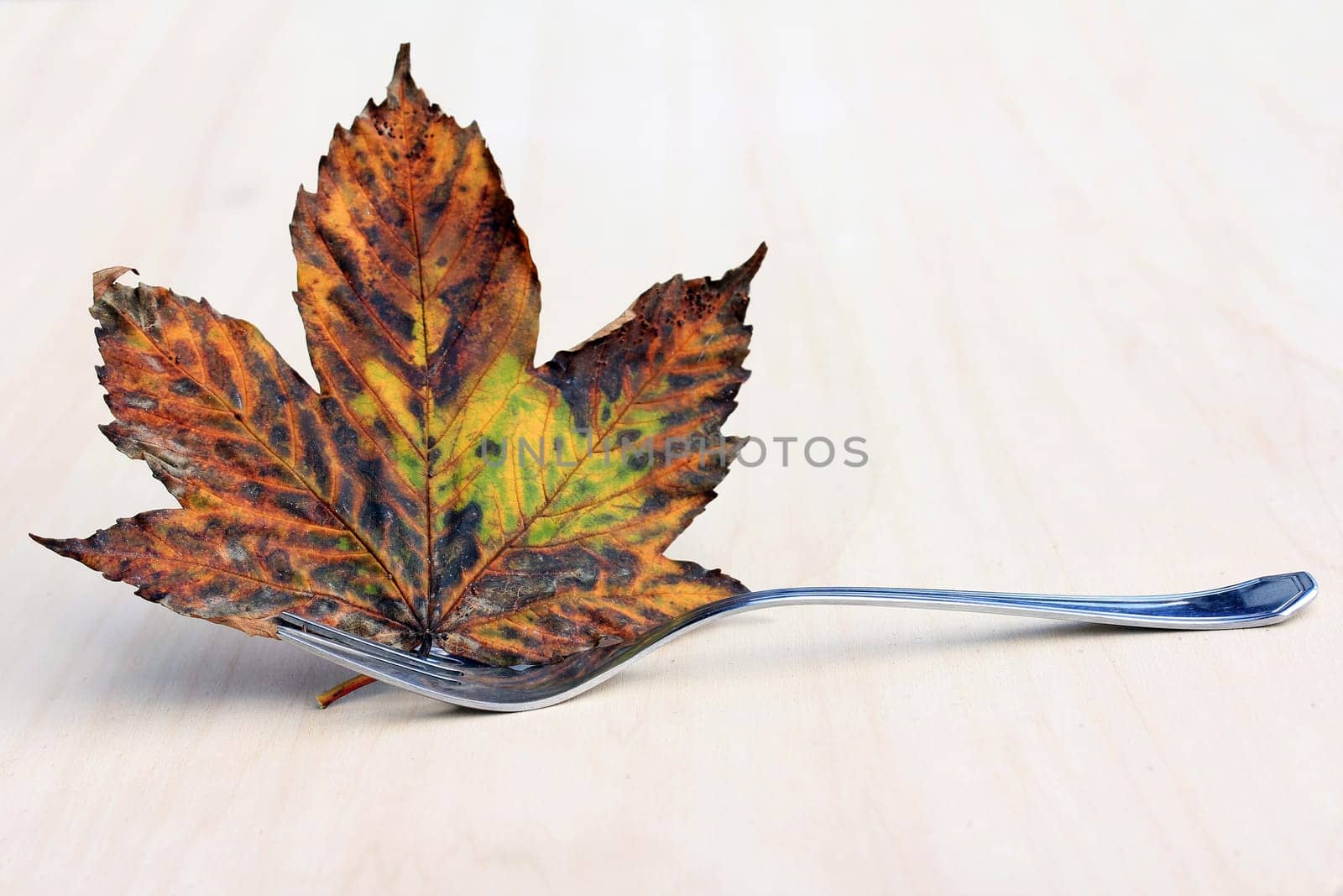 Autumn has arrived