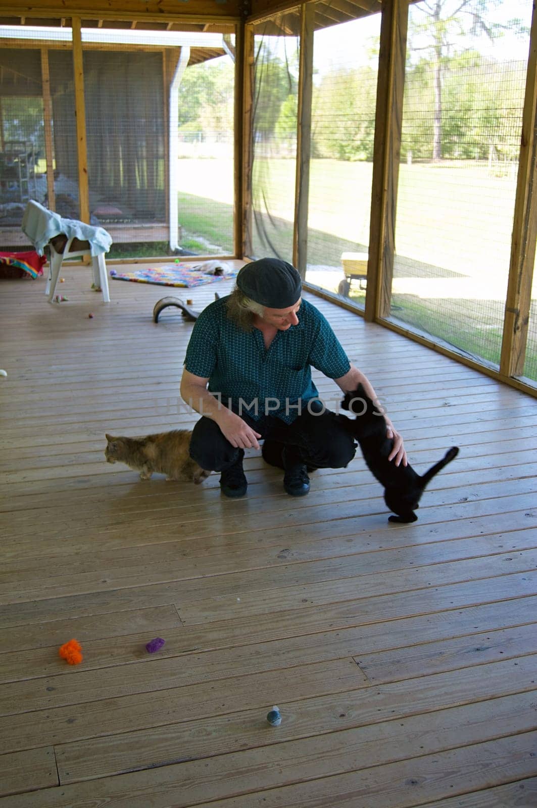 A man is squatting on a large porch petting stray cats at an animal shelter in Ft Myers FLorida.