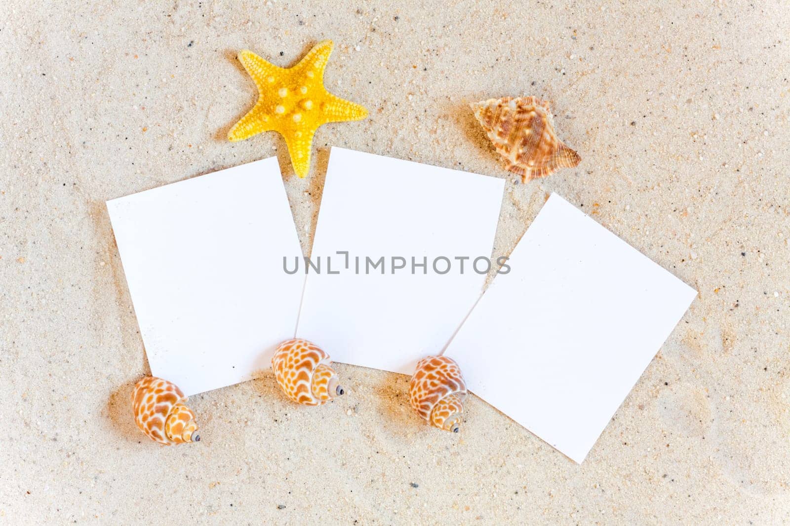 Three empty instant pictures lie with shells in the sand