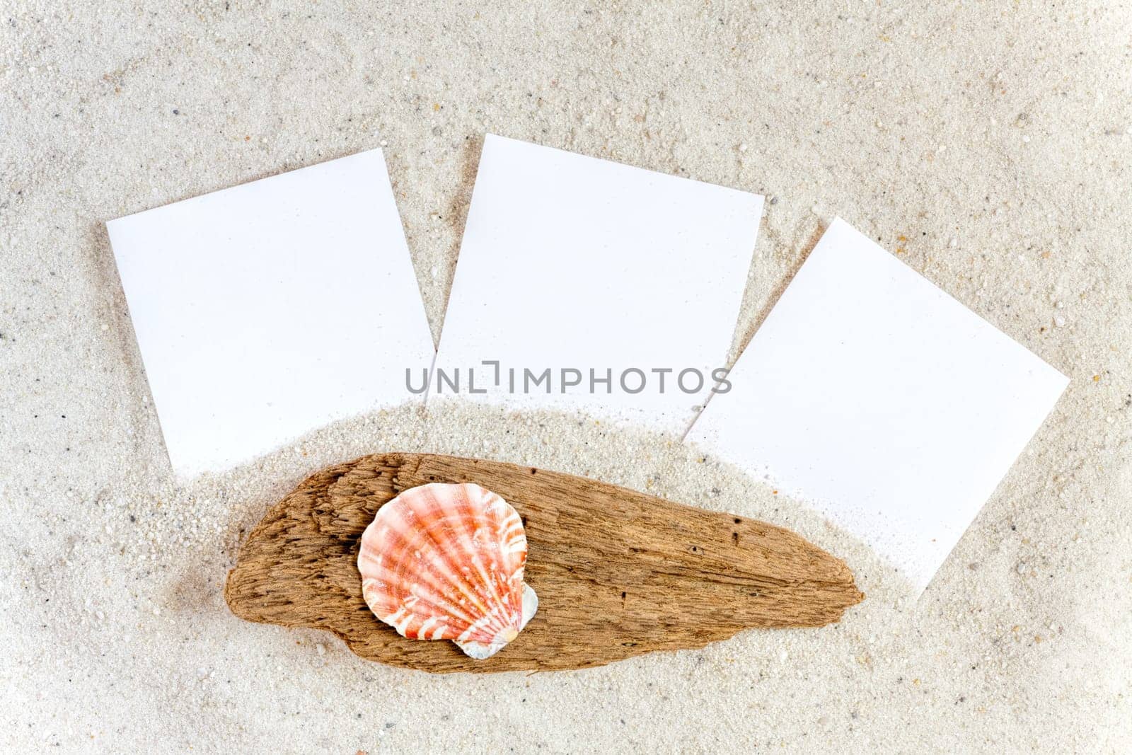 Three empty instant pictures lie on the sandy beach