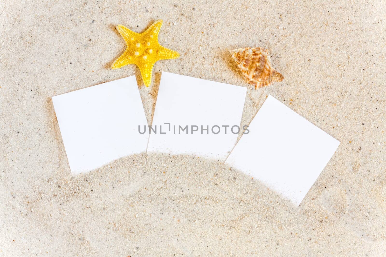 Three empty instant pictures lie with shells in the sand