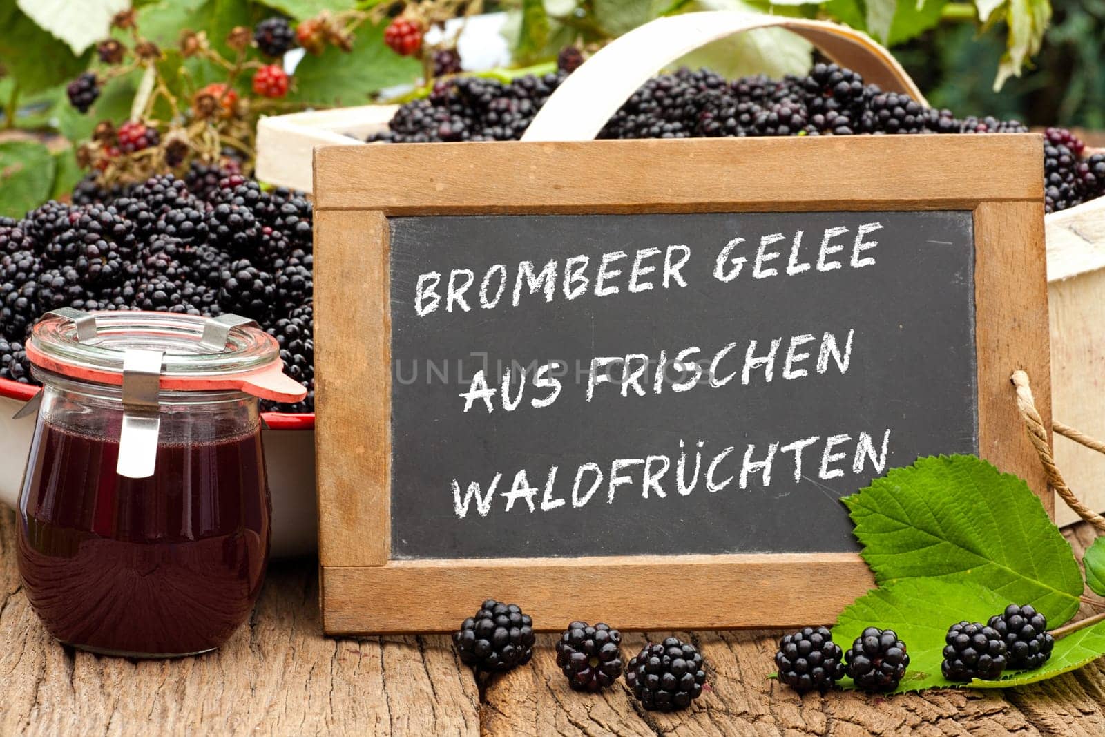 Blackberries of the season