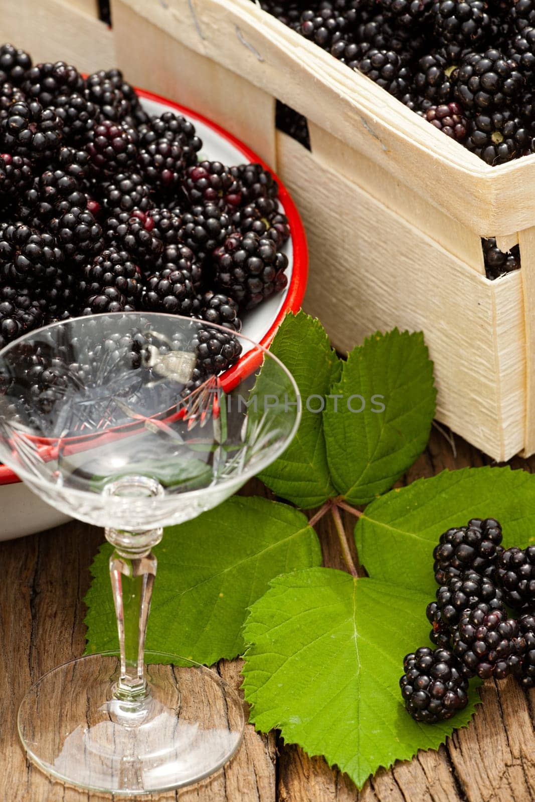 Harvest-fresh forest blackberries and a liqueur glass