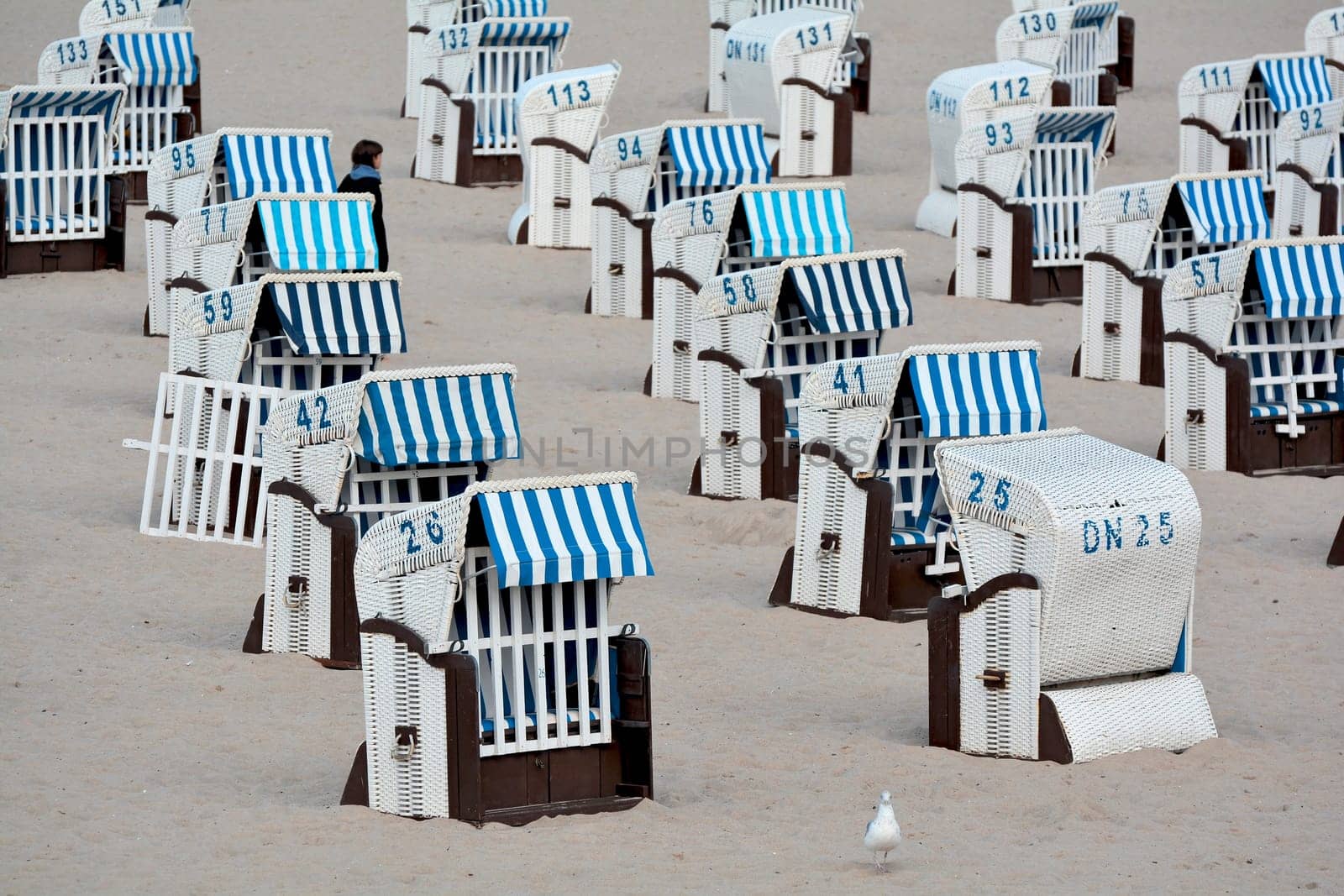 Baltic coast