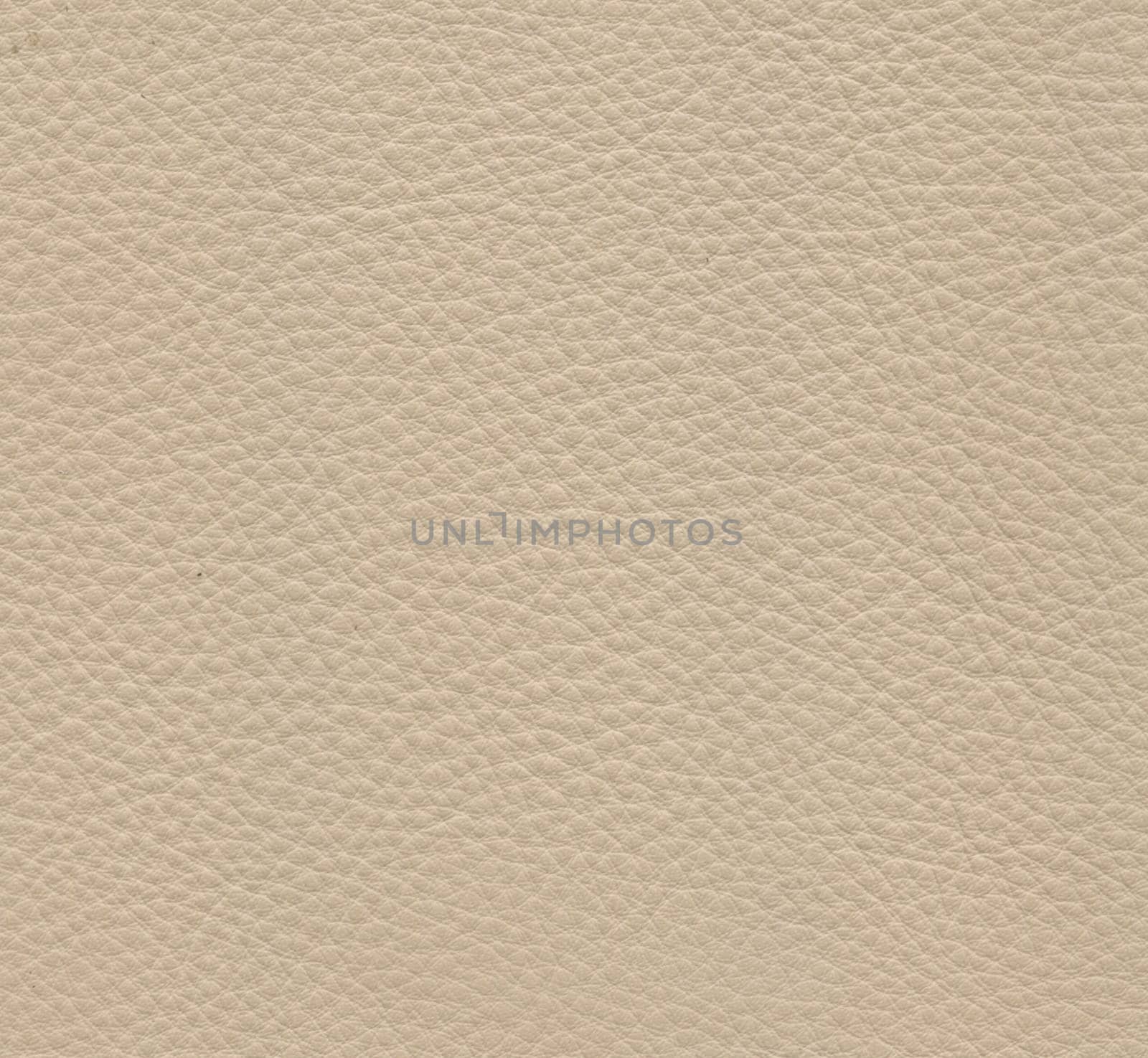 white leather texture