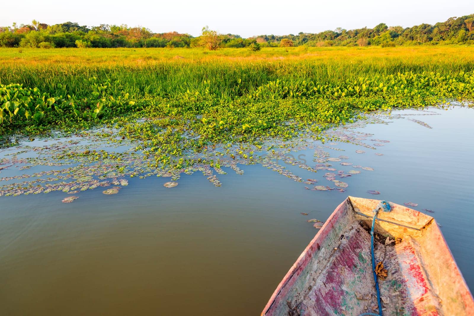 Canoe next to a lush green lakeshore in Madidi National Park in Bolivia