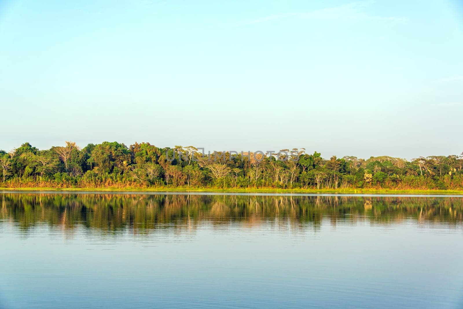 Jungle reflected in a lake in Madidi National Park in the Amazon rainforest near Rurrenabaque, Bolivia