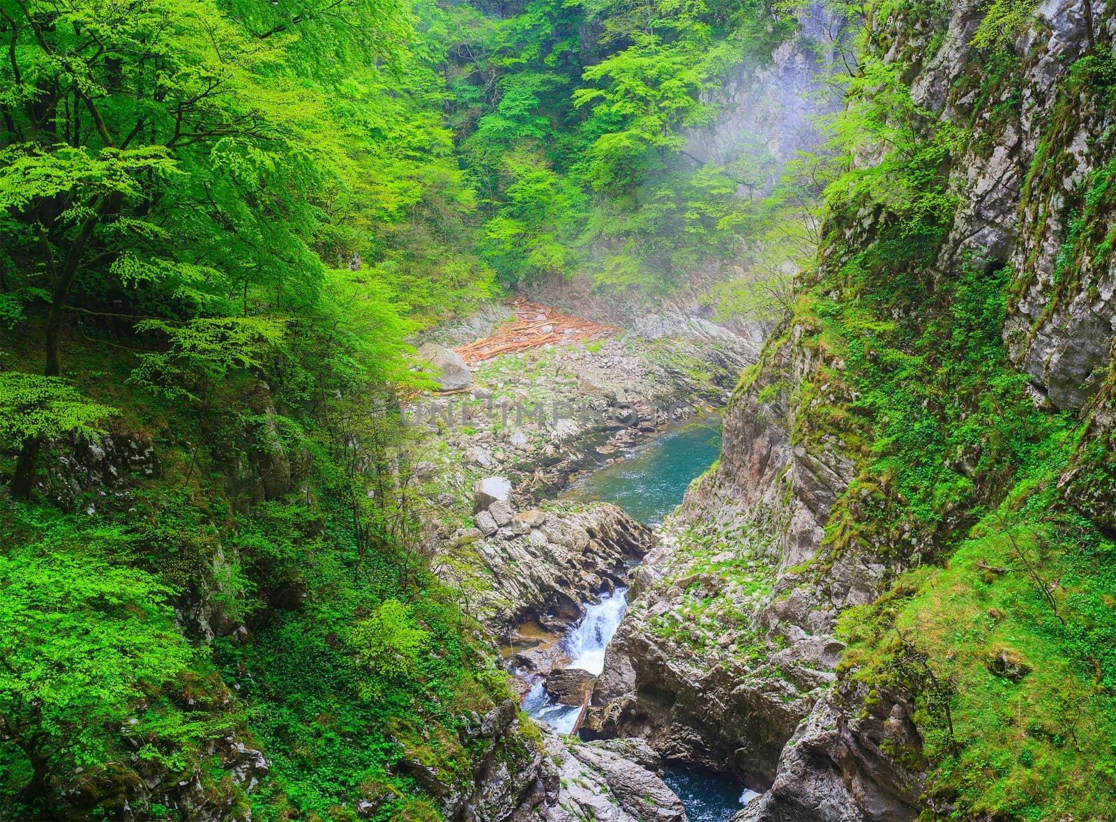View of forest near the Škocjan Caves in Slovenia