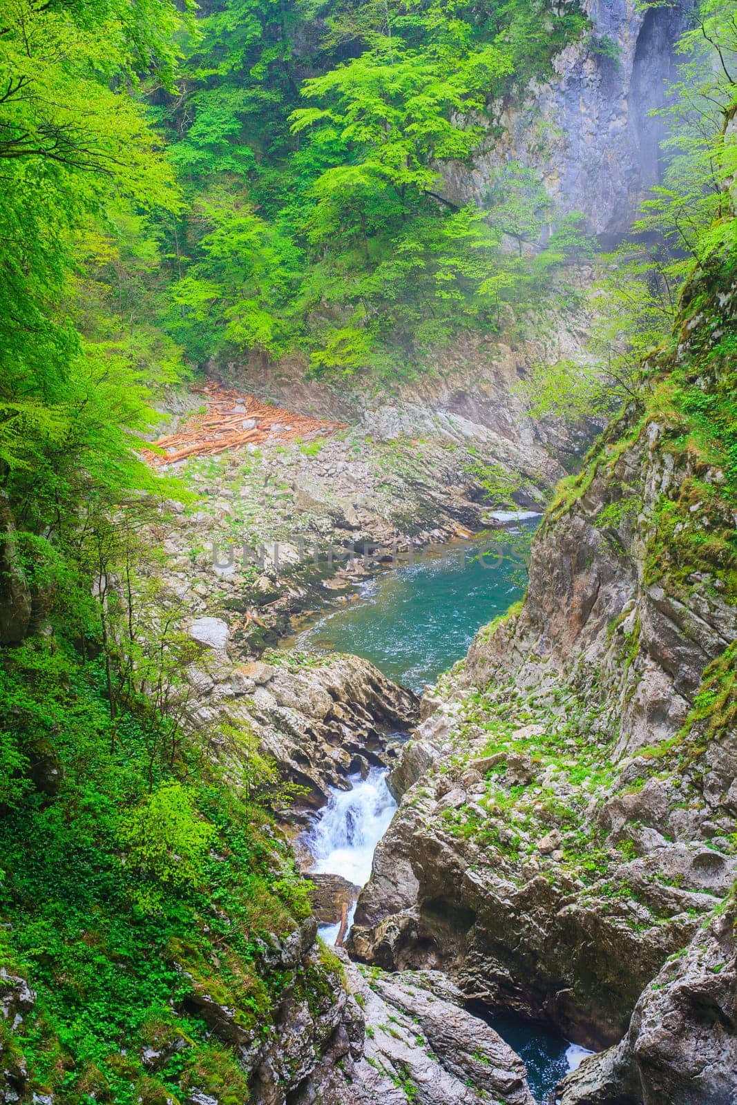 View of forest near the Škocjan Caves in Slovenia