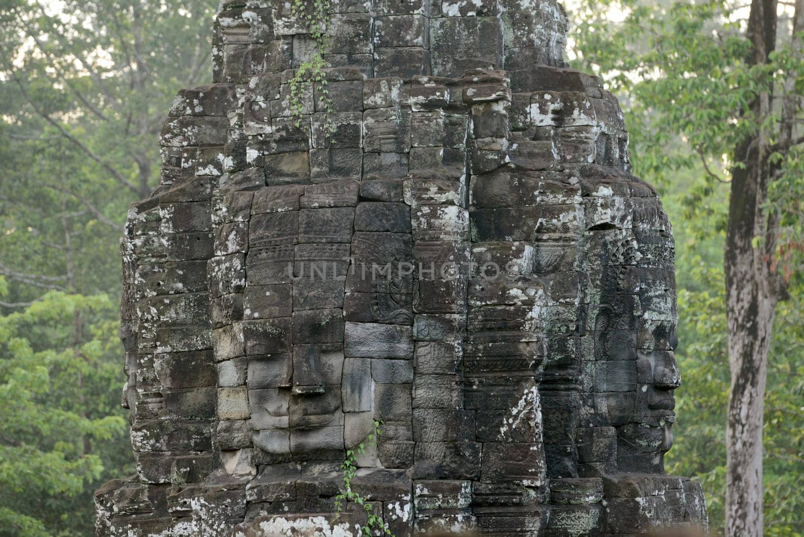 Stone Faces the Tempel Ruin of Angkor Thom in the Temple City of Angkor near the City of Siem Riep in the west of Cambodia.