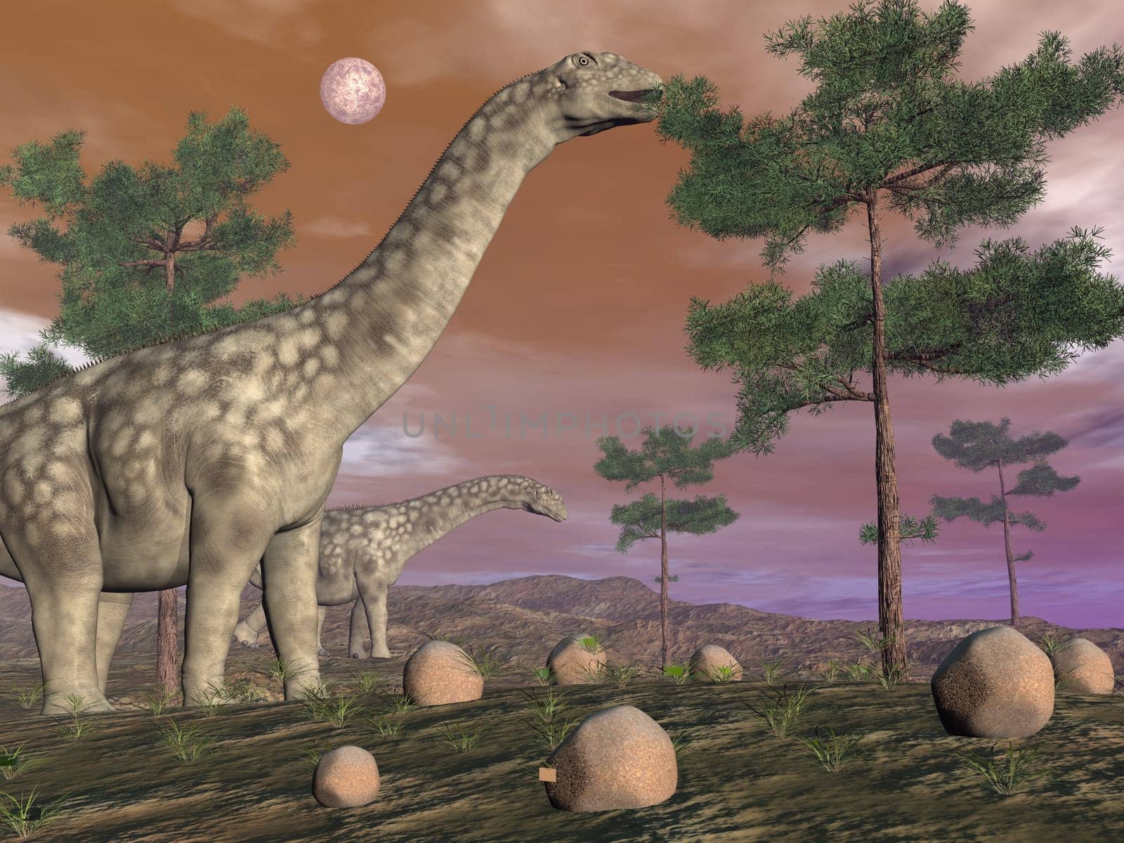 Argentinosaurus dinosaurs eating at the top of tree by night- 3D render