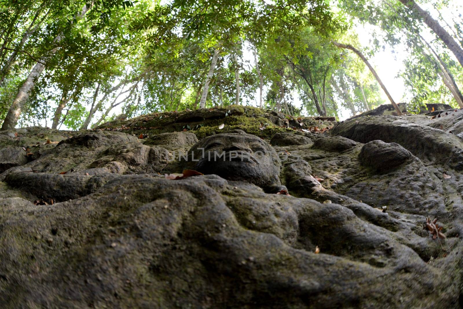 The Tempel Ruin of  Kbal Spean 50 Km northeast of in the Temple City of Angkor near the City of Siem Riep in the west of Cambodia.