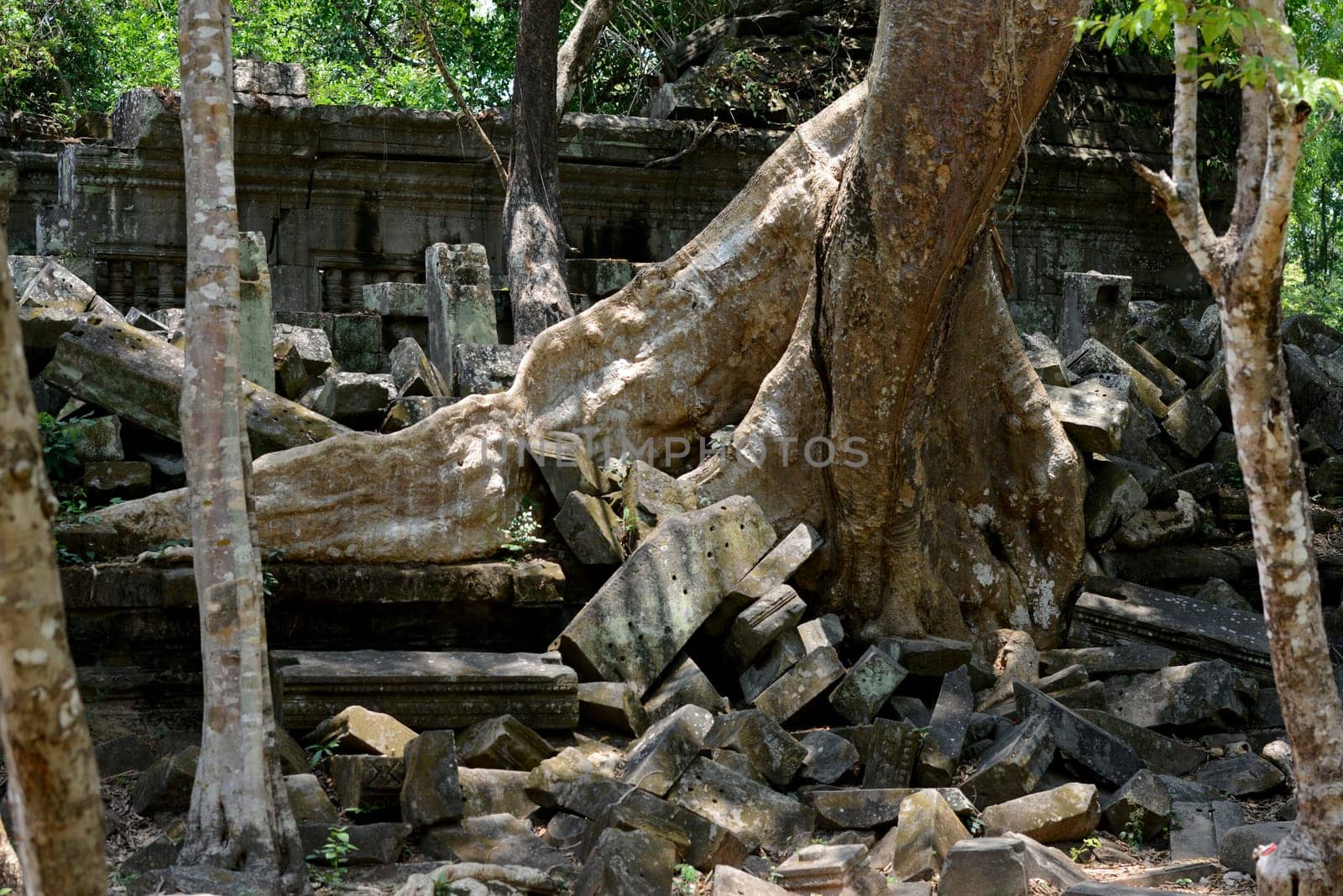The Tempel Ruin of  Beng Mealea 32 Km north of in the Temple City of Angkor near the City of Siem Riep in the west of Cambodia.