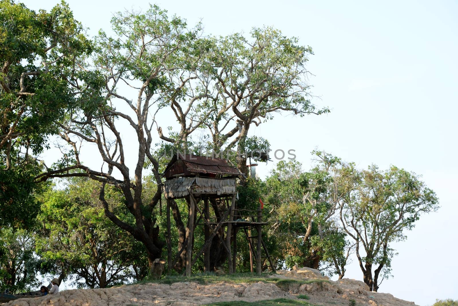 The Lake Village Kompong Pluk at the Lake Tonle Sap near the City of Siem Riep in the west of Cambodia.