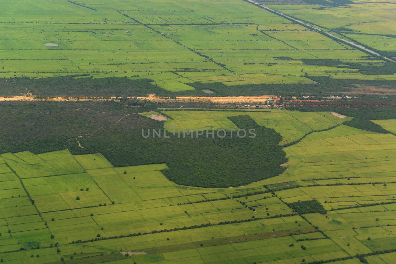 The Landscape with a ricefield near the City of Siem Riep in the west of Cambodia.