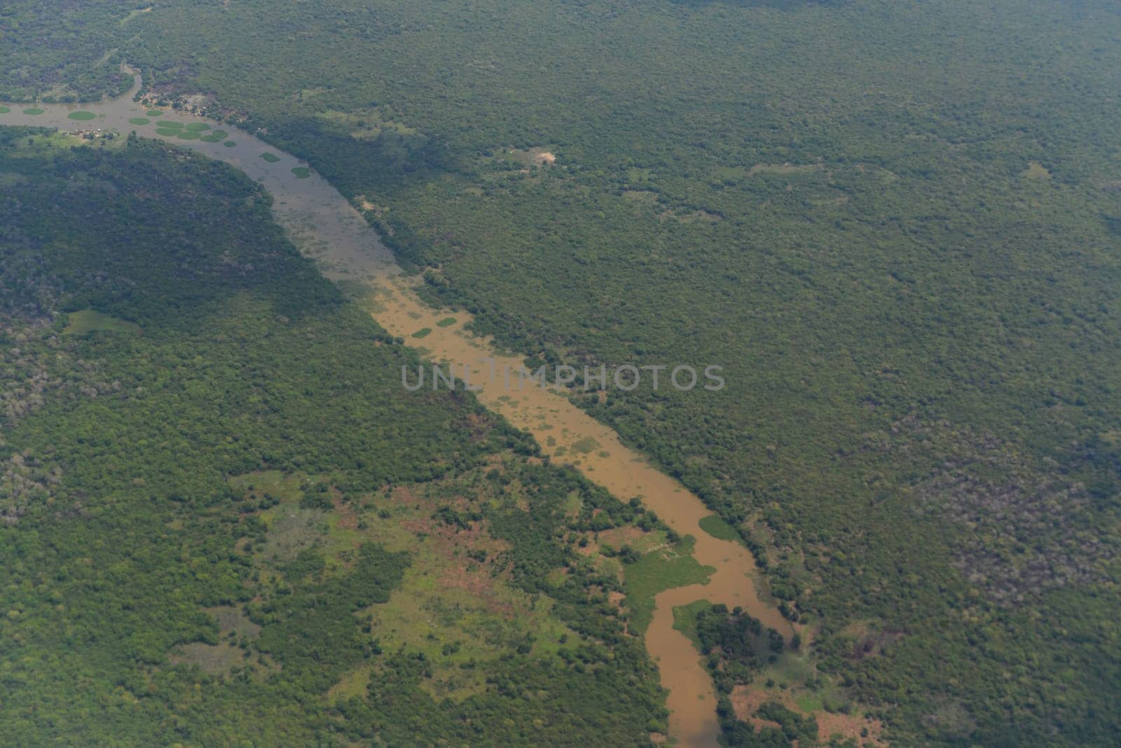 The Landscape with a ricefield near the City of Siem Riep in the west of Cambodia.