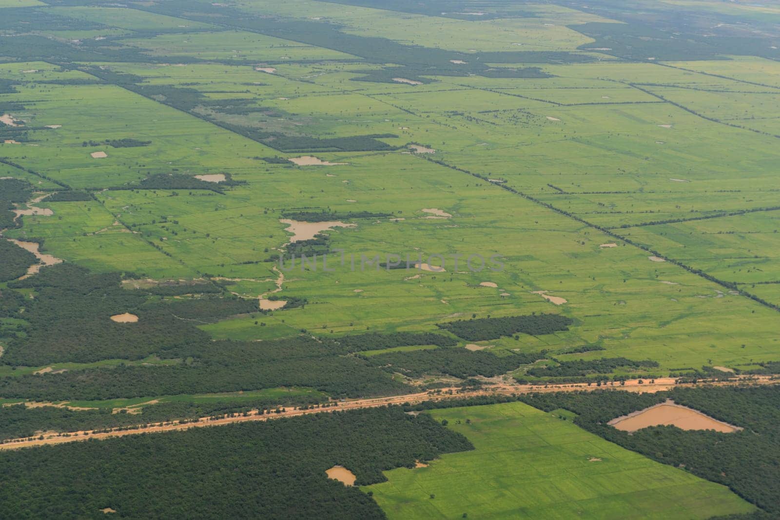 The Landscape with a ricefield near the City of Siem Riep in the west of Cambodia.