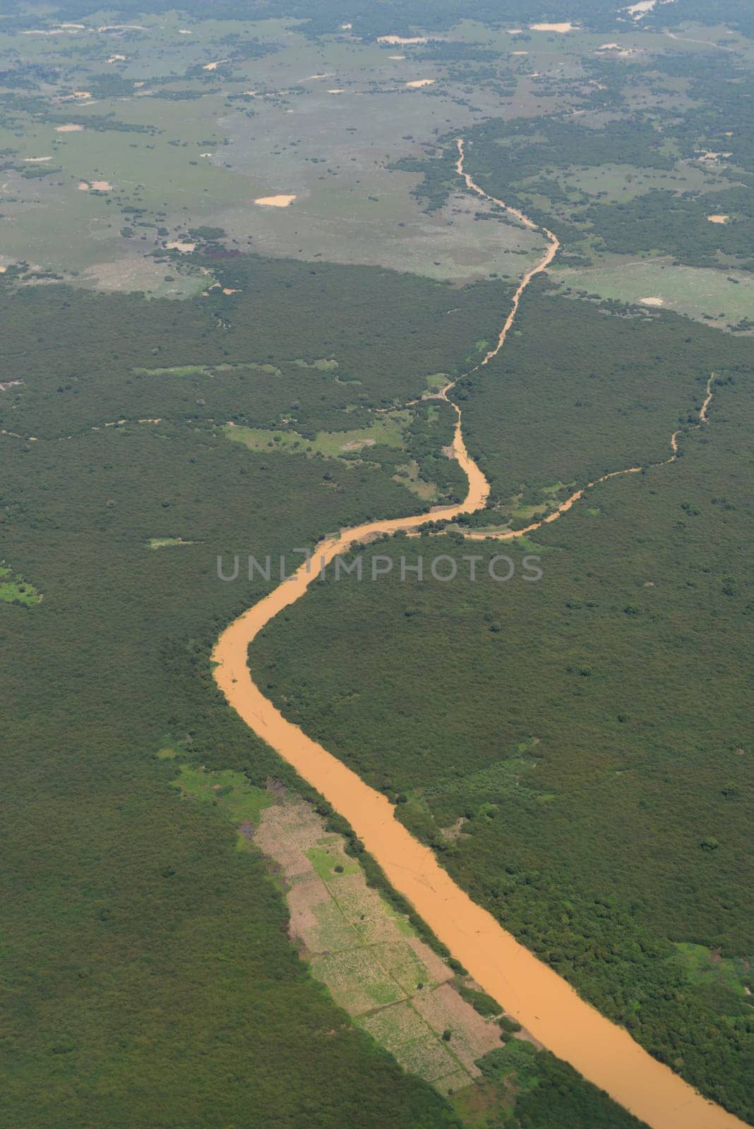 The Landscape with a ricefield near the City of Siem Riep in the west of Cambodia.