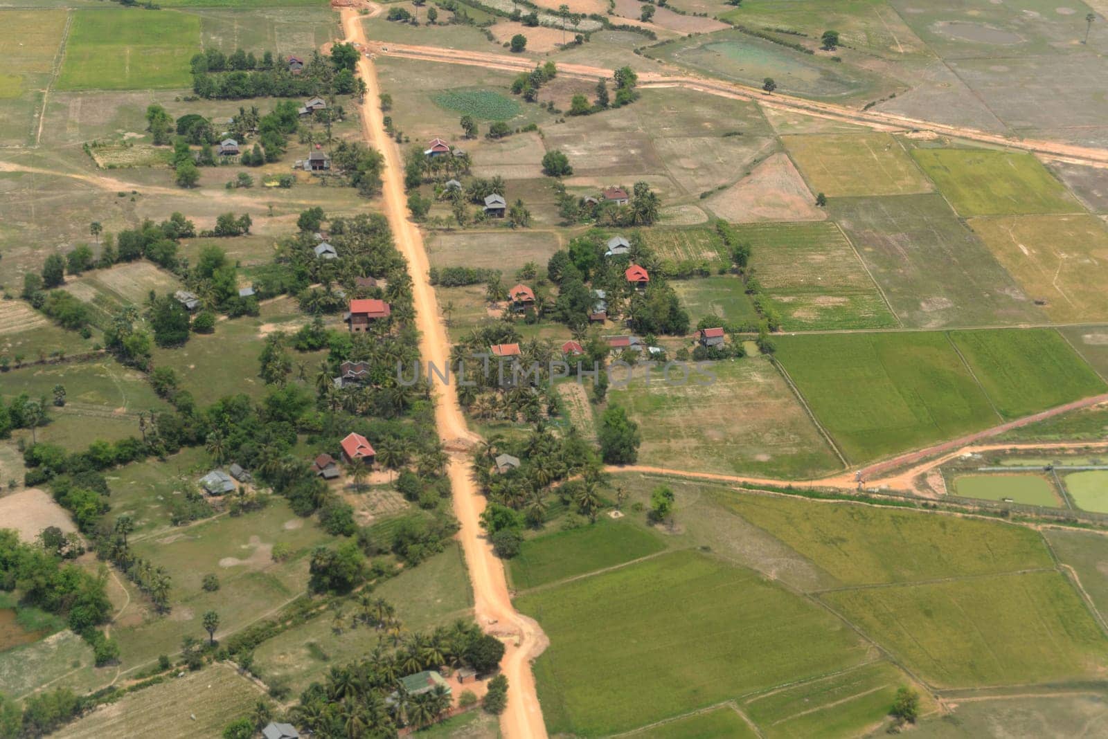 The Landscape with a ricefield near the City of Siem Riep in the west of Cambodia.