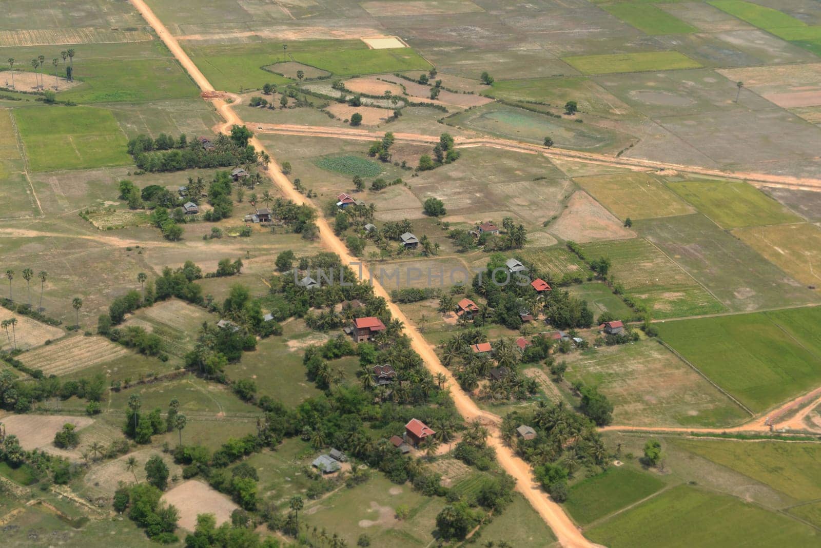 The Landscape with a ricefield near the City of Siem Riep in the west of Cambodia.