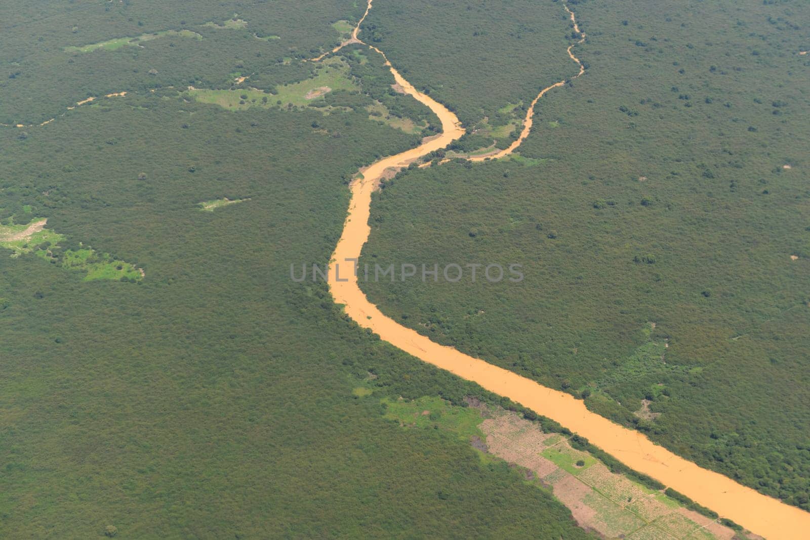 The Landscape with a ricefield near the City of Siem Riep in the west of Cambodia.