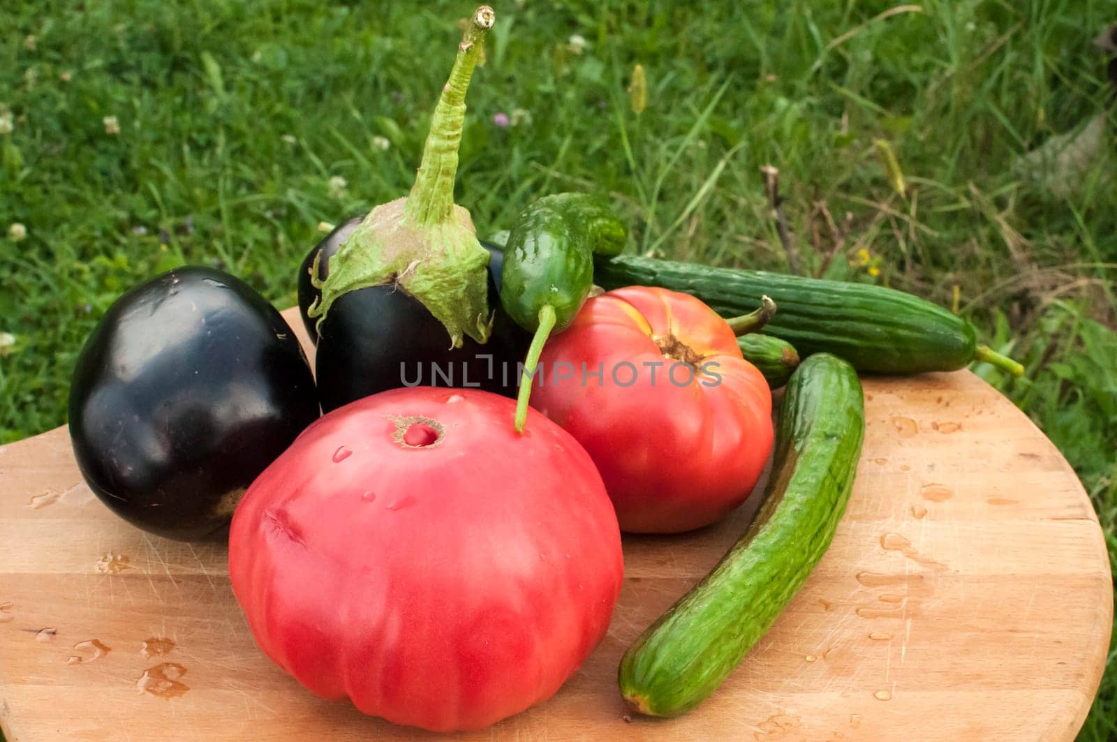 Organic tomatoes, cucumbers and eggplants on wooden board and grass background