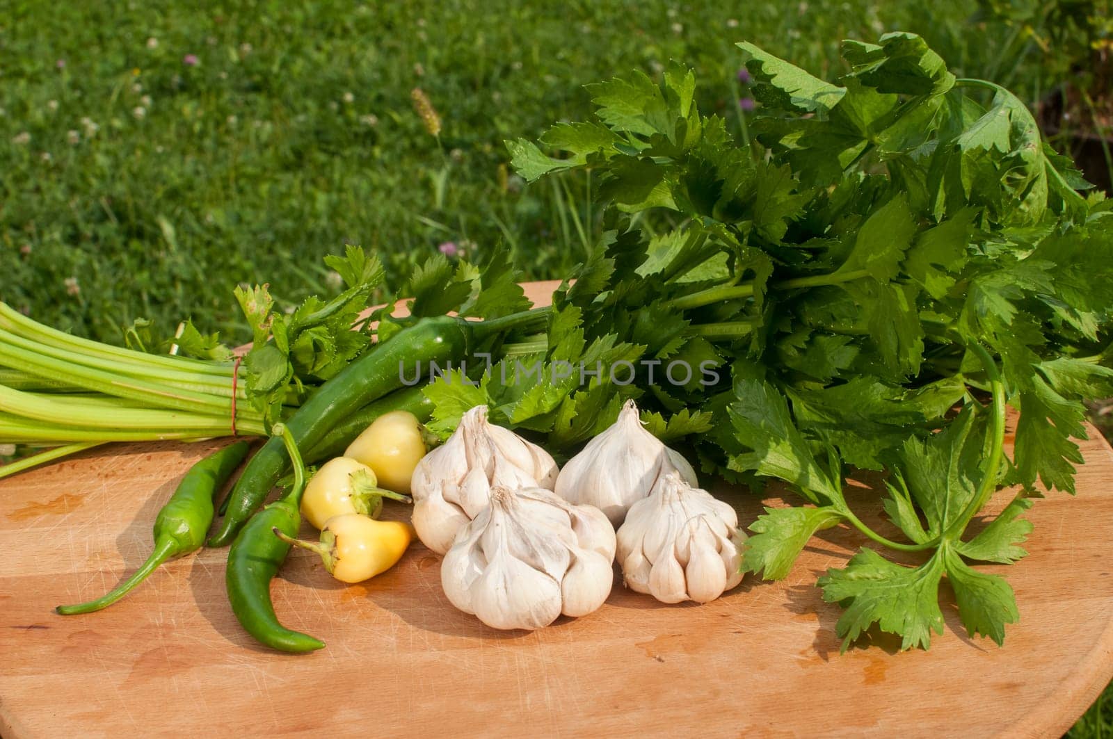 Organic celery, cloves of garlic and chili peppers on wooden board on green grass backgound