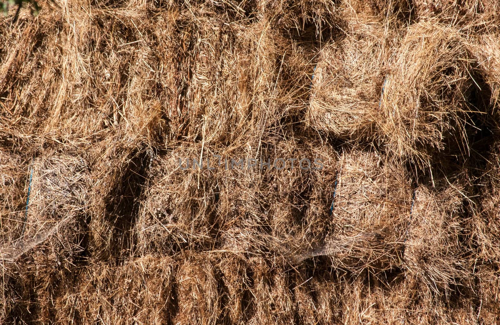 Stacked dry hay bales closeup as background